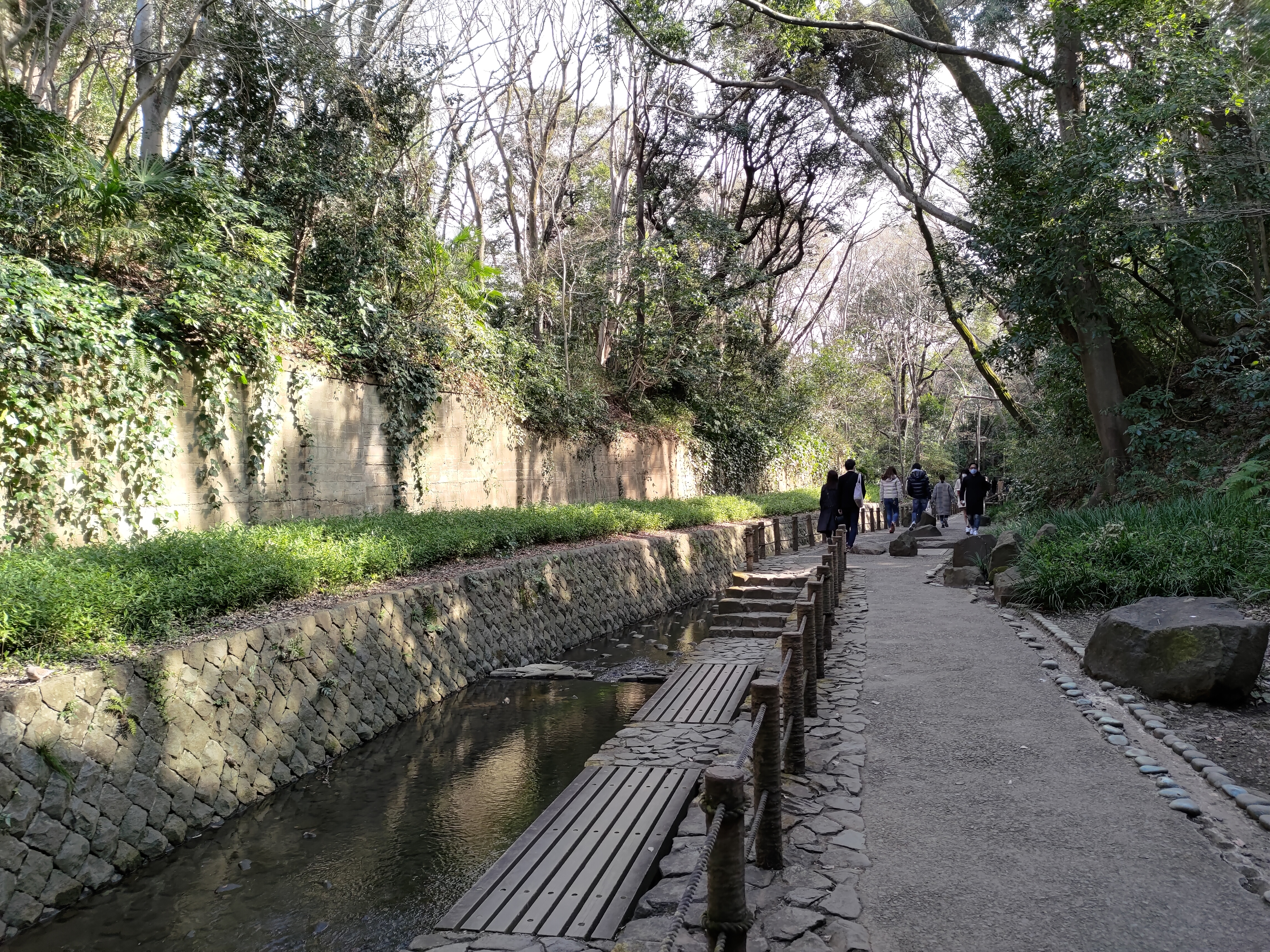 Photo of Todoroki Station | Todoroki Valley Tamagawa Bridge Near | Rest Spot 1