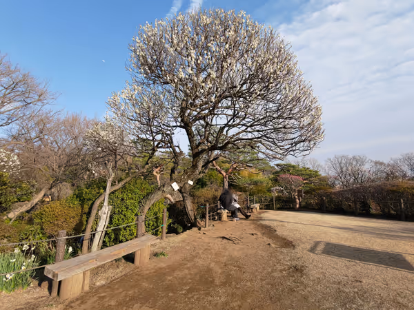 等々力渓谷 日本庭園・書院の写真3