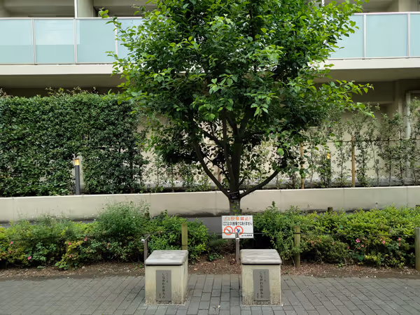 不動前保管所裏 遊歩道の写真2