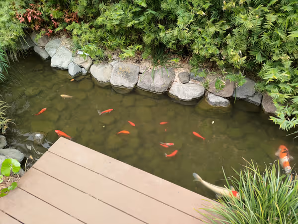 錦町トラッドスクエア 広場の写真4