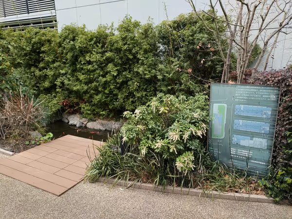 錦町トラッドスクエア 広場の写真3