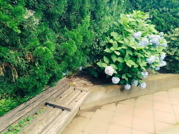 馬橋北第二公園の写真3