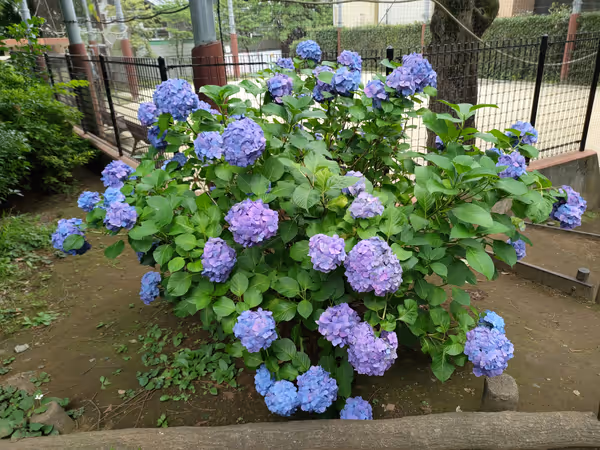 Photo of Koenji Station | Koenji Kita-ni Park | Rest Spot 5