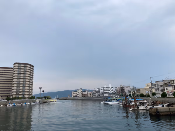 明石港 ジェノバラインのりば周辺の写真6