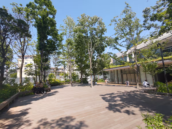 ののあおやまの森の写真1