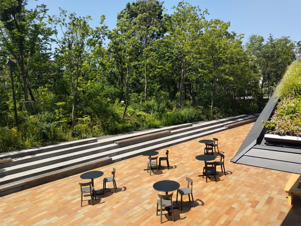 ののあおやまの森の写真3