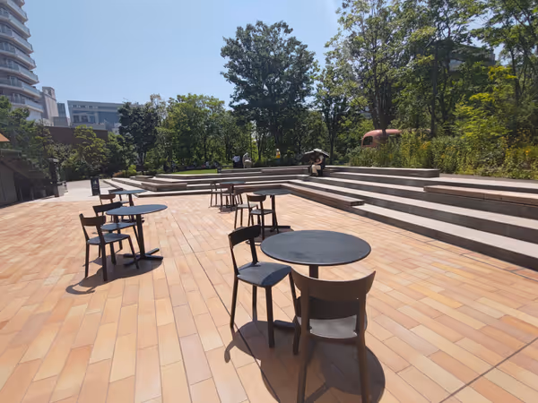 ののあおやまの森の写真4