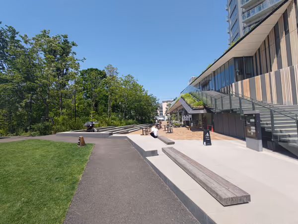 ののあおやまの森の写真5