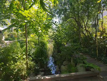 表參道車站的ののあおやま之森的休息場所其七