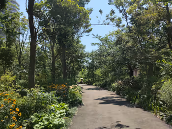 表參道車站的ののあおやま之森的休息場所其六