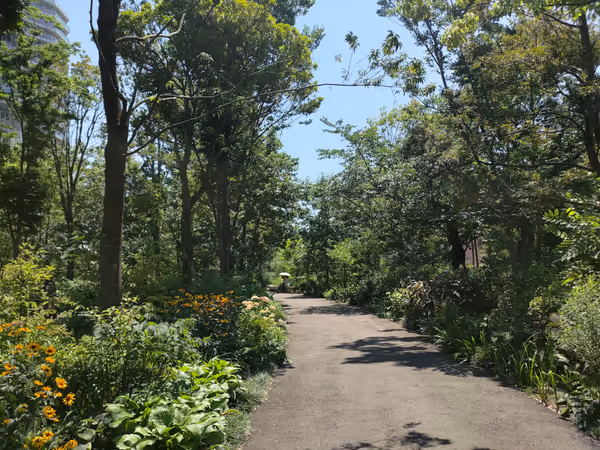 ののあおやまの森の写真6