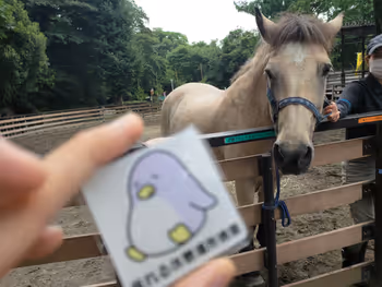 参宮橋駅代々木ポニー公園の休憩場所その5