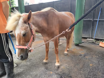参宮橋駅代々木ポニー公園の休憩場所その6