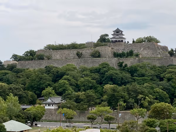駅前の花壇周囲の写真2