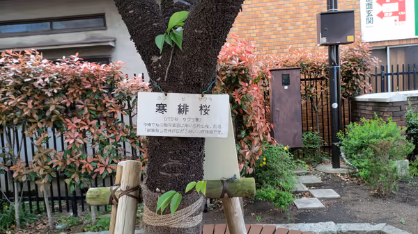 Foto von 江戸川公園 江戸川橋付近 4