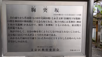 早稲田駅胸突坂の休憩場所その2