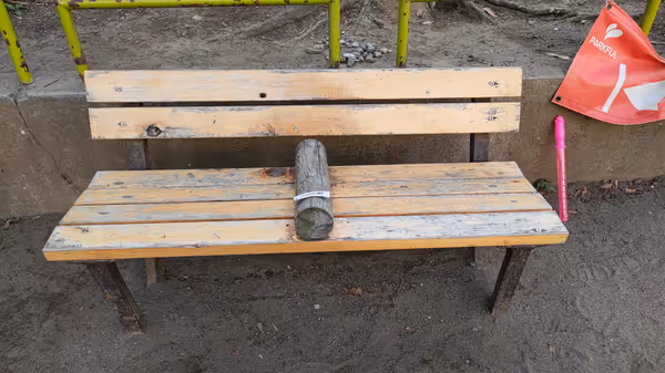 関口三丁目公園の写真6