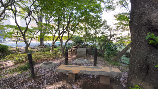 Foto de 関口台公園 4