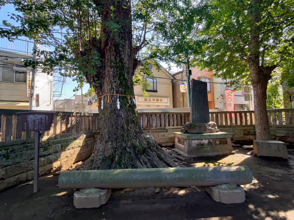 Photo of Itabashi-Honcho Station | Shimizu Inari Shrine | Rest Spot 2