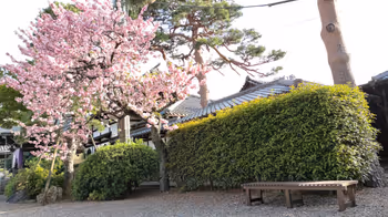 護国寺駅護国寺 境内の休憩場所その5