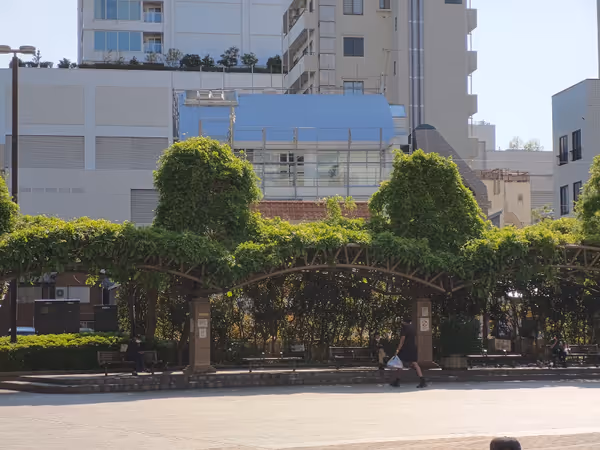 市役所前公園の写真3