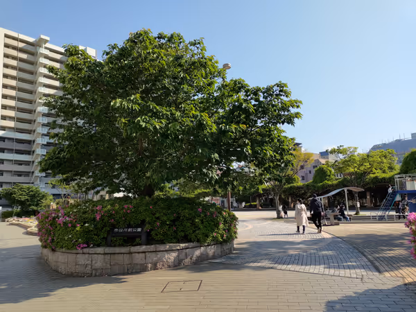市役所前公園の写真1