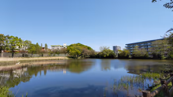 武蔵浦和駅白幡沼の休憩場所その1
