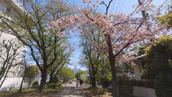 武蔵浦和駅白幡沼の休憩場所その5