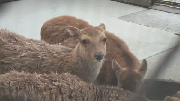 Photo of Higashinakagami Station | Showa Park Zoo Near | Rest Spot 2
