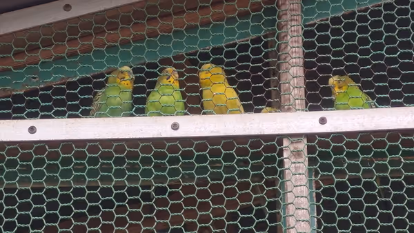 Photo of Higashinakagami Station | Showa Park Zoo Near | Rest Spot 4