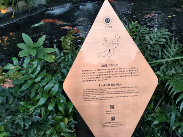 TOKYO TORCH 親水空間の写真3