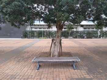 千葉ニュータウン中央駅南口ロータリー付近の休憩場所その2