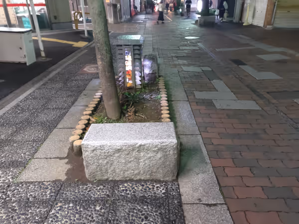 樹モール 市役所通り側の写真2