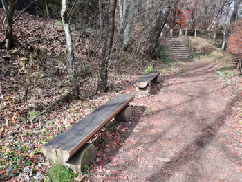 Rest Area near Karuizawa Station: Bench near Kashima-no-mori Street at Kumoba Pond, Part 2
