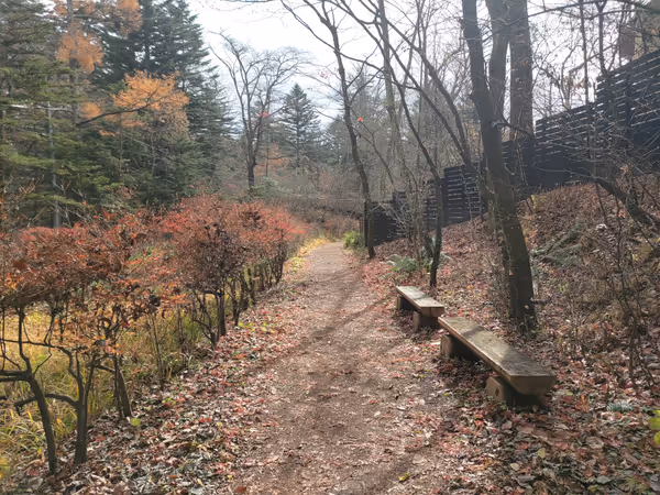 Photo of Karuizawa Station | Kumoba Pond, Kashiwa no Mori Street side | Rest Spot 1