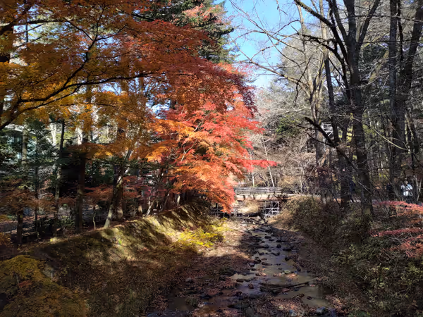 ショーハウス記念館付近 公衆トイレ前の写真4
