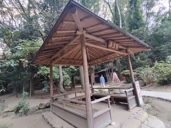 生田神社 生田の森の写真3