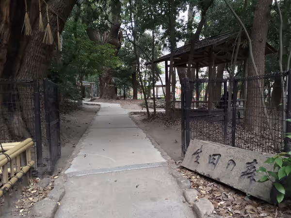 生田神社 生田の森の写真2