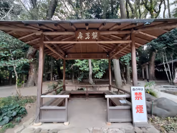 【三宮駅】生田神社 生田の森の休憩場所