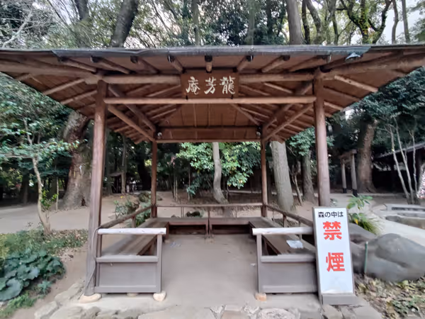 生田神社 生田の森の写真4