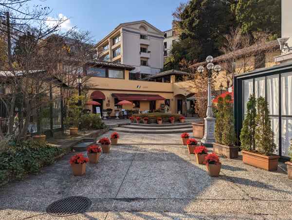 フィオーレの森の写真4