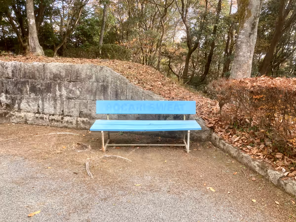 圓教寺 志納所付近の広場の写真4