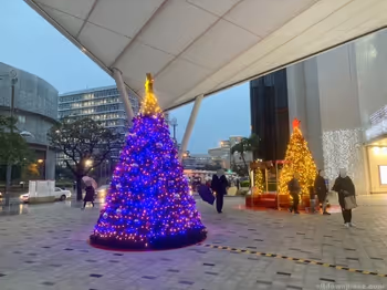 パレットくもじ前のウフルーフ付近の写真2