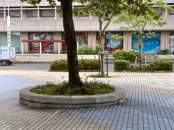 パレットくもじ前のウフルーフ付近の写真6