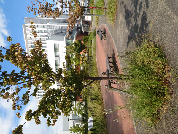 杜の広場公園の写真5