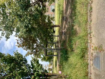 杜の広場公園の写真6