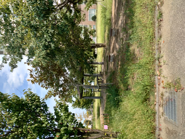 杜の広場公園の写真6