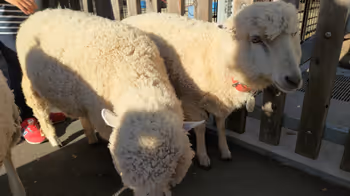 板橋区役所前駅板橋こども動物園付近の休憩場所その5