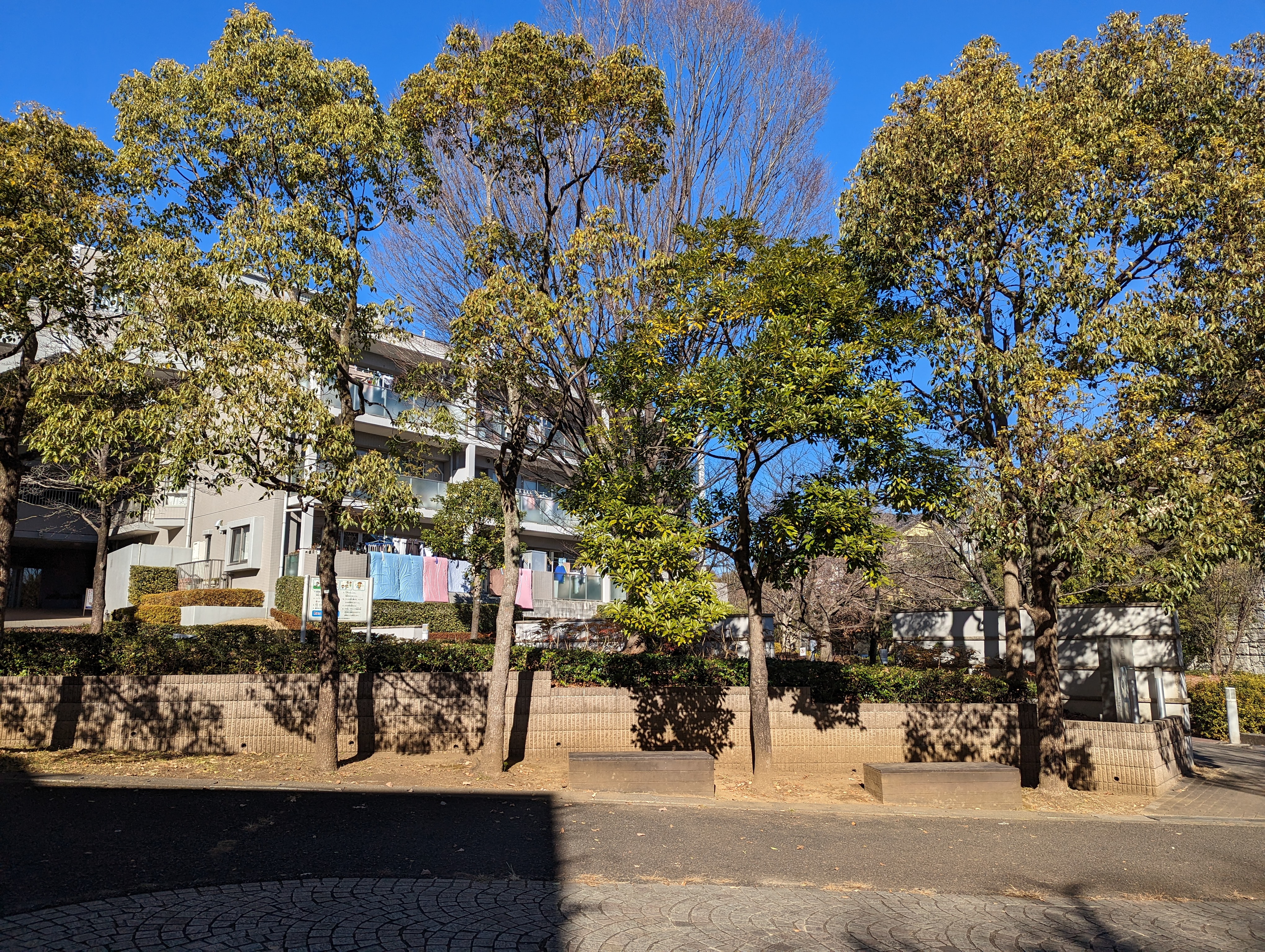 Photo of Tsuzuki Fureai-no-Oka Station | Yubae-no-Michi Grannoa Mae | Rest Spot 1