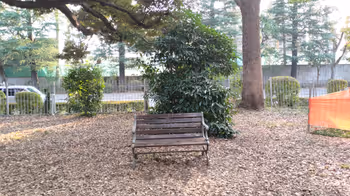 Rest Area near the National Stadium Station and Kenkoku Kinen Bunko - Part 5